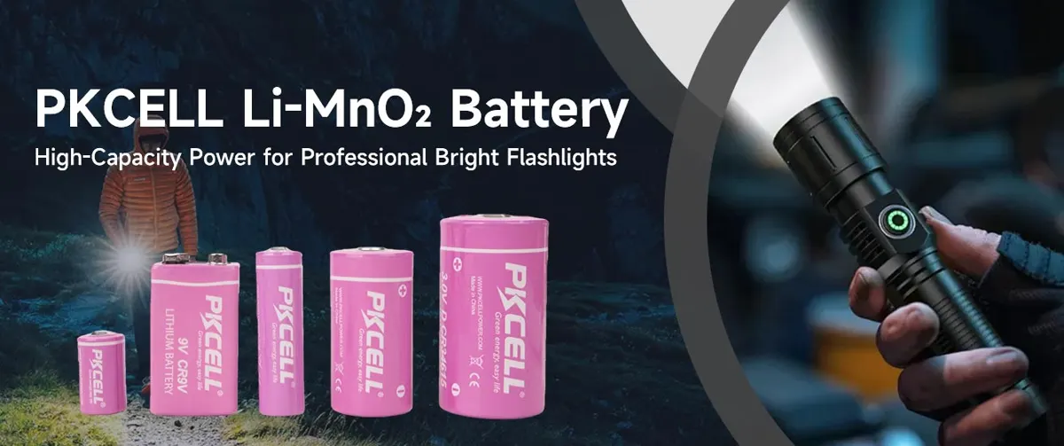 Shenzhen PKCell Battery Co., Ltd.