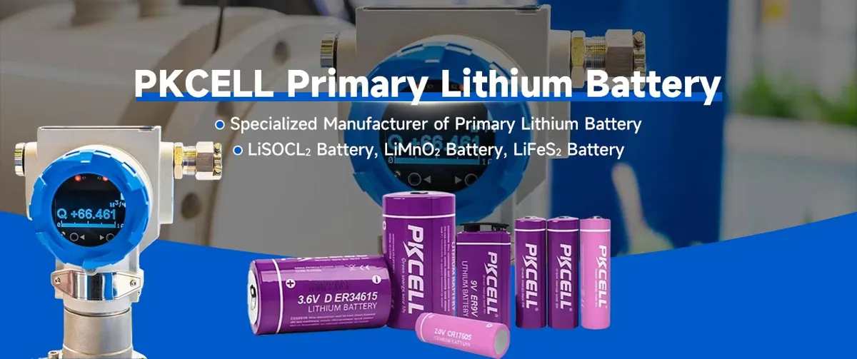 Shenzhen PKCell Battery Co., Ltd.