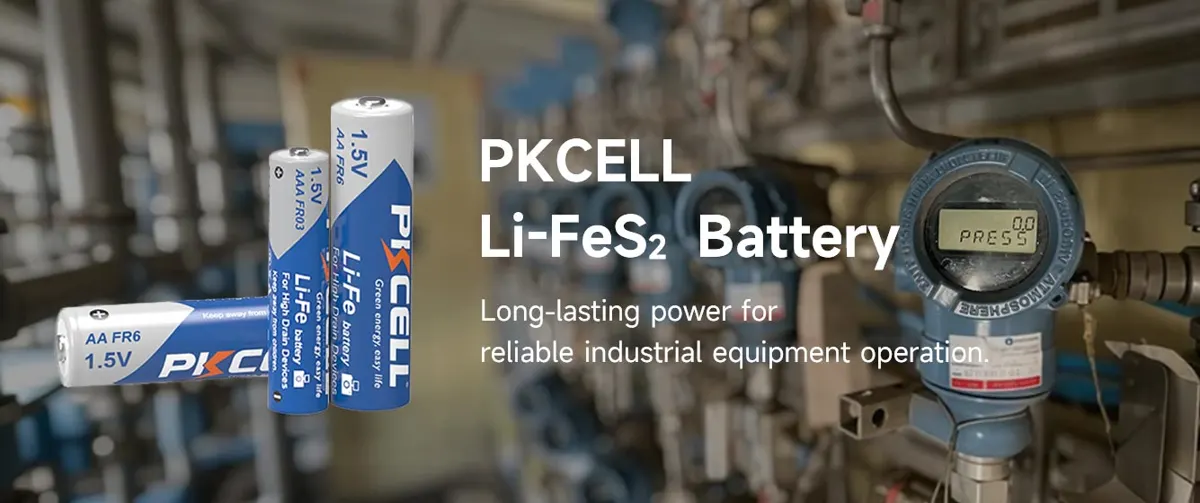Shenzhen PKCell Battery Co., Ltd.